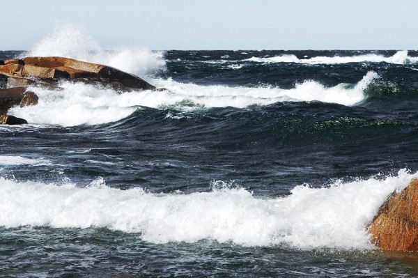 Strong winds snap power supply in south-west region Strong winds snap power supply in south-west region