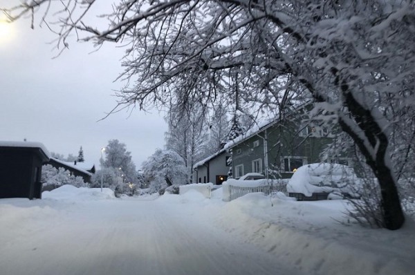 Finland sees unusual mild winter in south, wintry in north in Jan Finland sees unusual mild winter in south, wintry in north in Jan