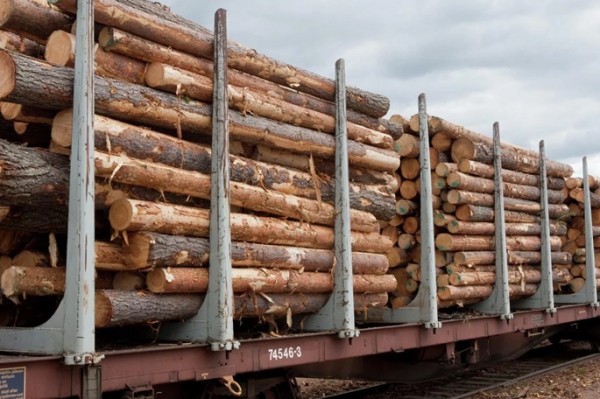 Finland exports lumber, forest products worth €12b in 2024 Finland exports lumber, forest products worth €12b in 2024