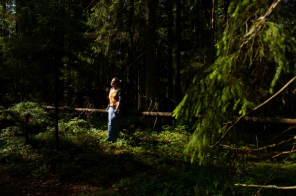 Discover the wild herbs growing across Finland