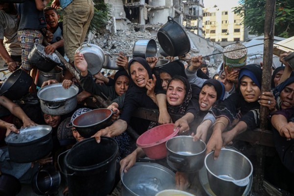 Dozens killed in Israeli attacks while seeking food in Gaza Dozens killed in Israeli attacks while seeking food in Gaza