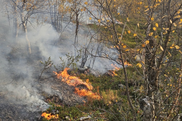 Wildfires sweep Lapland amid unrelenting heatwave Wildfires sweep Lapland amid unrelenting heatwave