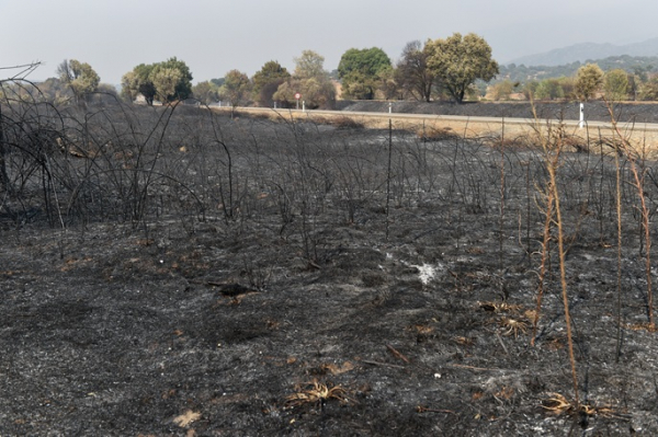 Spain's recent heatwave most intense on record: agency Spain's recent heatwave most intense on record: agency