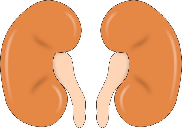 Kidney patients at higher risk of severe COVID-19 infection Kidney patients at higher risk of severe COVID-19 infection