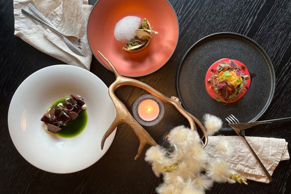 The taste of Finnish nature: Where forest meets fine dining The taste of Finnish nature: Where forest meets fine dining