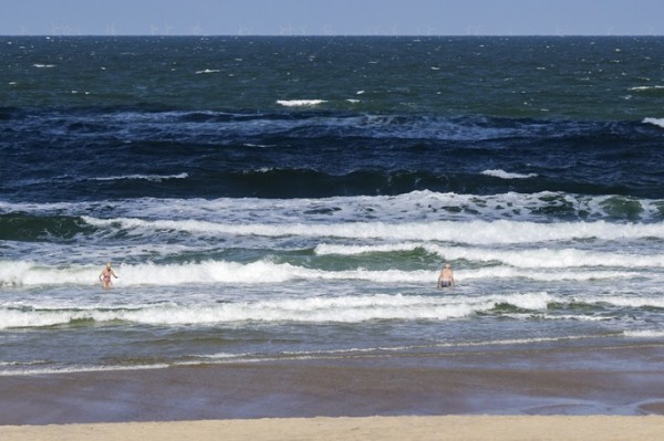 Germany sounds alarm as North Sea hits record summer temperatures Germany sounds alarm as North Sea hits record summer temperatures
