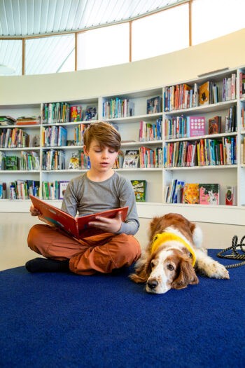 Libraries the Finnish way: welcoming, wild and wonderful Libraries the Finnish way: welcoming, wild and wonderful