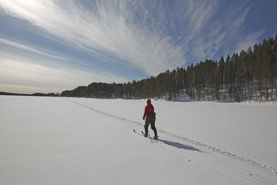 My first Finnish Christmas: Cold but cosy