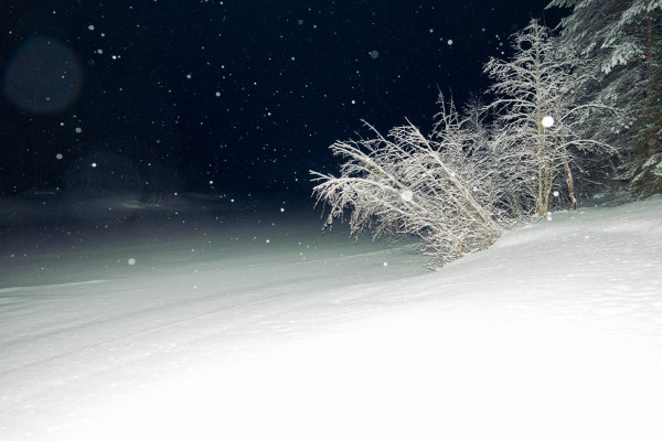 Polar-night hike: A winter walk in the northern Finnish woods Polar-night hike: A winter walk in the northern Finnish woods