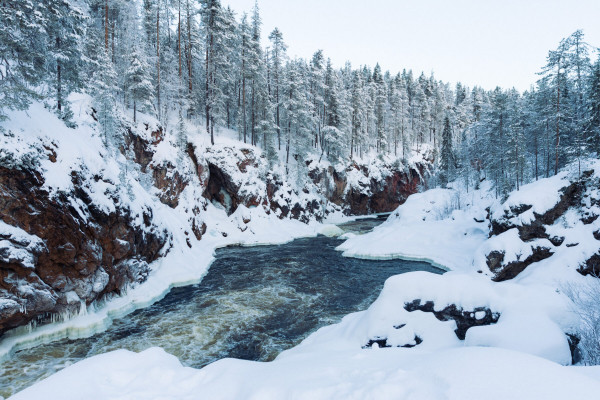 Polar-night hike: A winter walk in the northern Finnish woods Polar-night hike: A winter walk in the northern Finnish woods