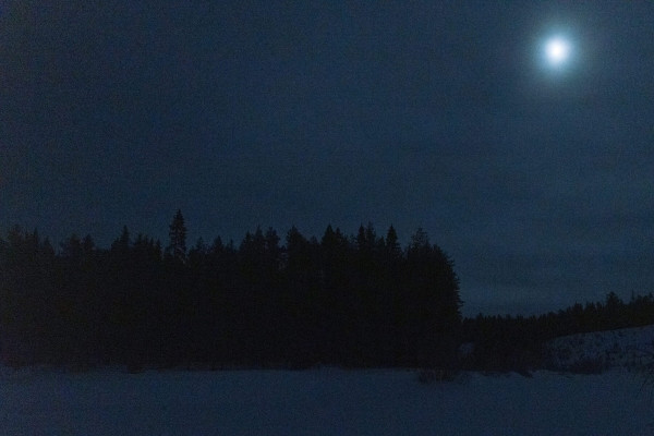 Polar-night hike: A winter walk in the northern Finnish woods Polar-night hike: A winter walk in the northern Finnish woods