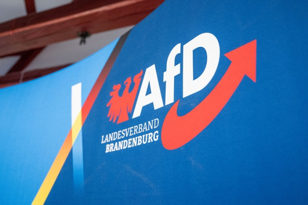 7 AfD employees denied access to German parliament 7 AfD employees denied access to German parliament