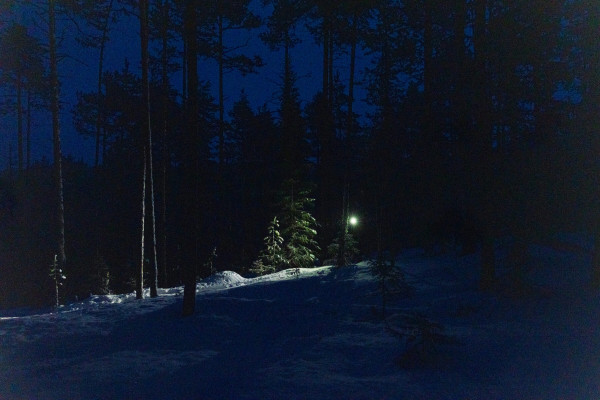 Polar-night hike: A winter walk in the northern Finnish woods Polar-night hike: A winter walk in the northern Finnish woods